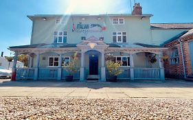 The Italian Greyhound